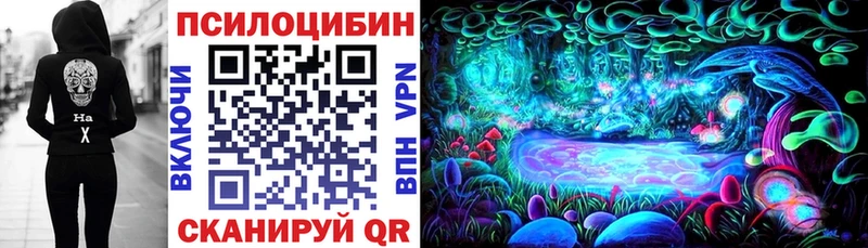 Псилоцибиновые грибы Cubensis Свирск